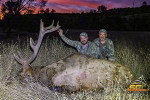 Riley's 2022 California Rocky Bull SHARE